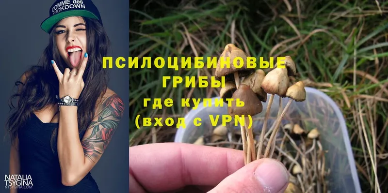 хочу наркоту  кракен tor  Галлюциногенные грибы MAGIC MUSHROOMS  Красноуральск 